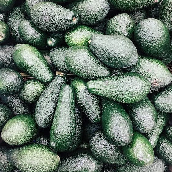 What Are Avocados And Why Are They So Good For Us?